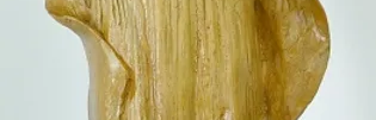 Barcelona, 1910  Guix patinat